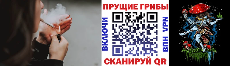 Галлюциногенные грибы GOLDEN TEACHER  blacksprut сайт  Пласт 