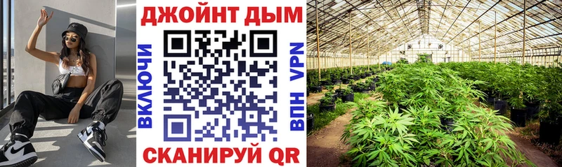 Канабис LSD WEED  площадка какой сайт  Пласт  купить наркотики сайты 